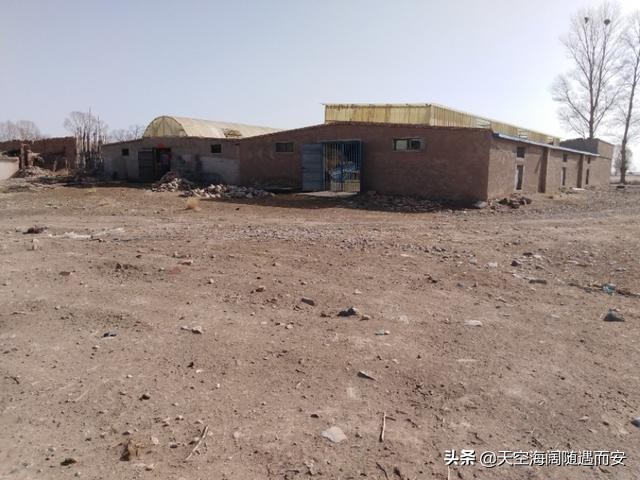 养殖大棚用的保温隔热材料,养殖大棚墙体用什么材料做最便宜