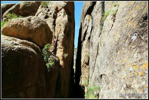 九佛为什么叫九佛,九佛真实身份揭秘