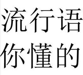 十大网络流行语抛开事实不谈,时代流行语老了