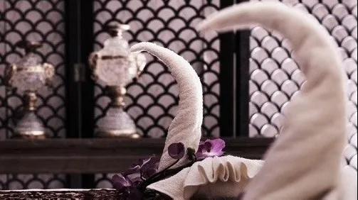 鏋佽嚧濂㈠崕spa,榄旈兘韬綋spa