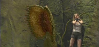 每日一问有好的想法怎么变现,怎么样才能在火星上生存