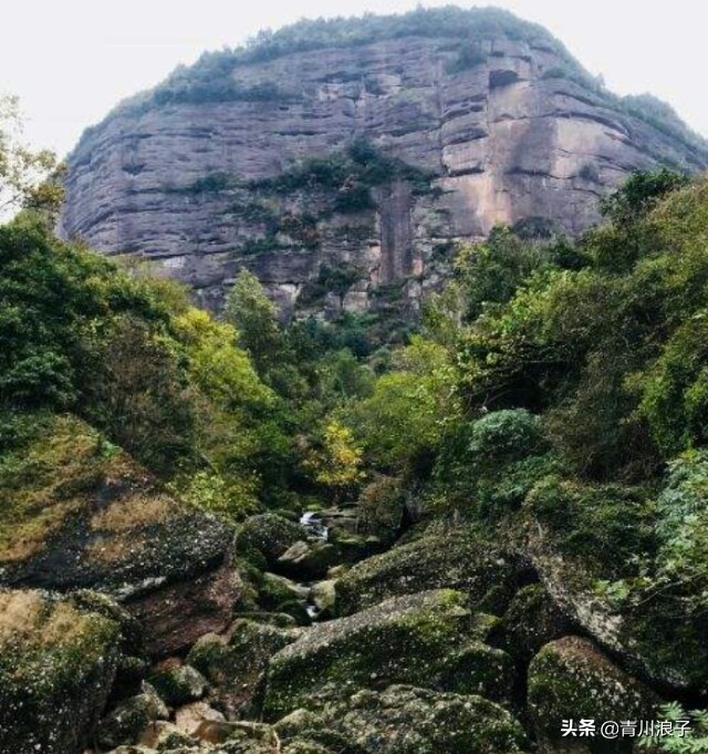 剑门关的“皇豆”是咋回事儿？