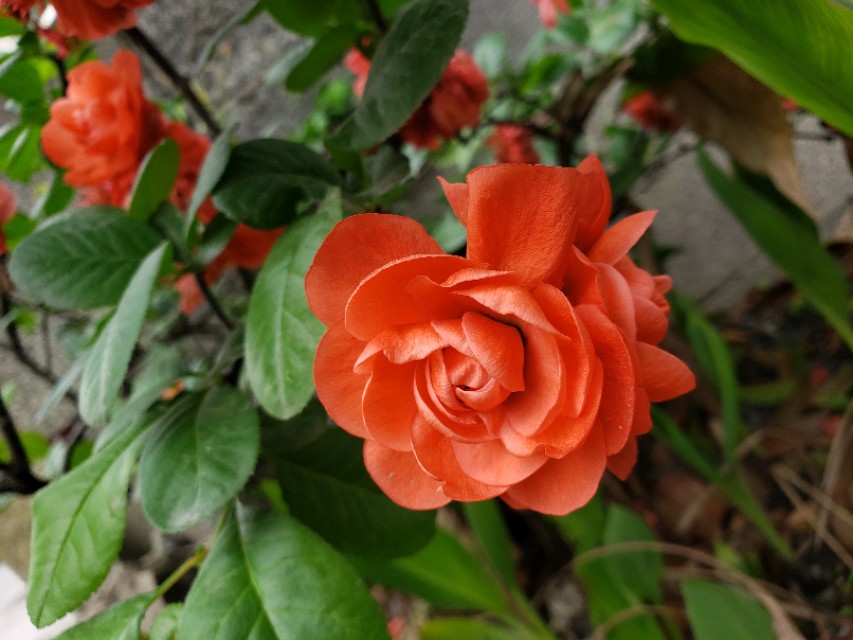 悠闲的时光惬意的生活,一个人的惬意时光诗词