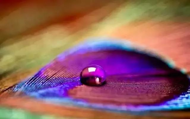 名著阅读红与黑,黑塞玻璃球游戏讲什么