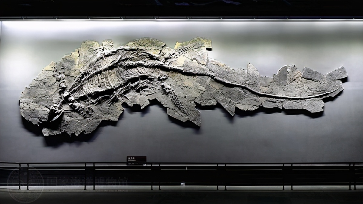 国家海洋博物馆游玩需要多久,天津生态城国家海洋博物馆