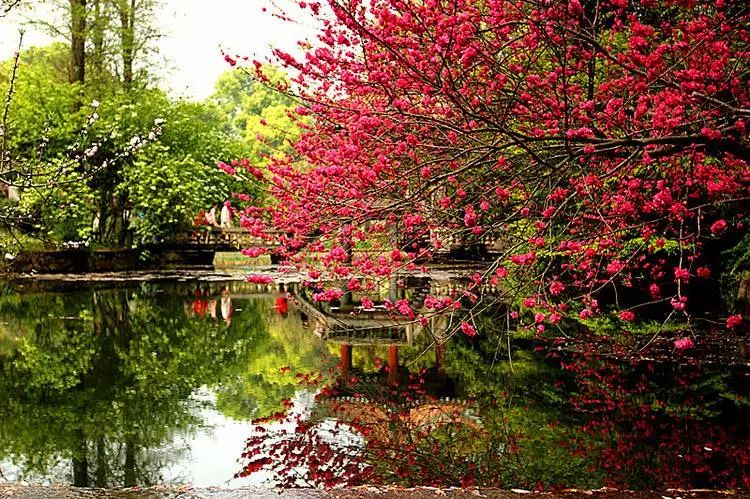 武汉景点免费网上预约,武汉景区免费景点推荐