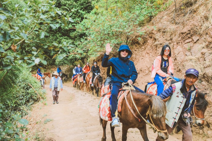 丽江拉市海茶马古道怎么去,丽江拉市海茶马古道线路