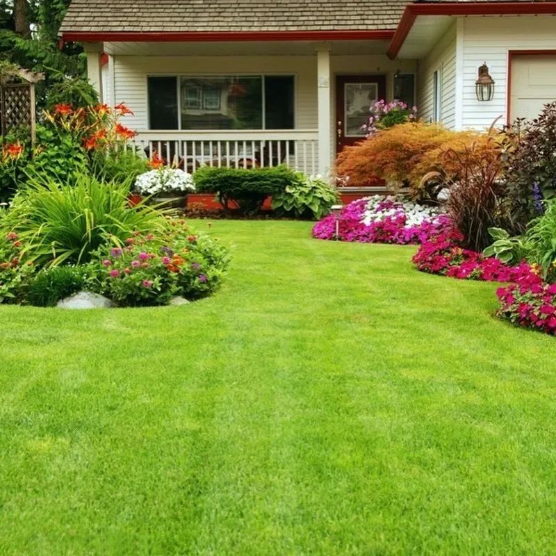 小面积庭院景观,庭院微地形绿化效果图