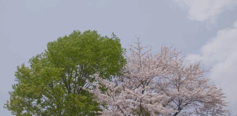 过去十年豆瓣排名前十的国产电影,影史最佳10部电影豆瓣评分最高