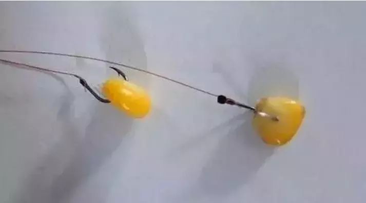 春天用玉米粒钓鱼有效果吗,用玉米粒钓鱼还用什么打窝