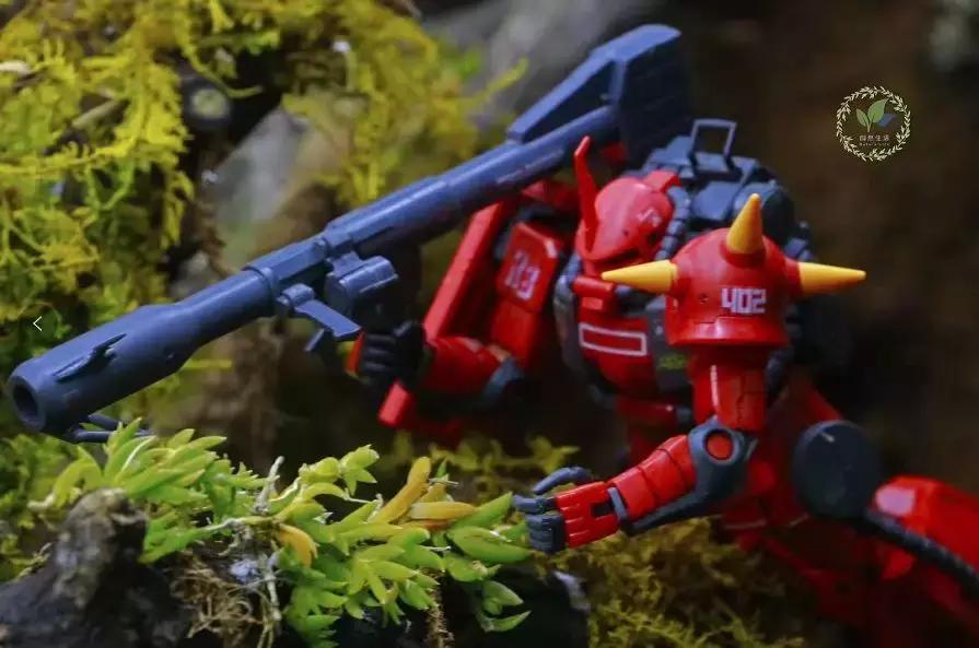 森森603b过滤桶适合多大的鱼缸,森森水族过滤桶hw-603b怎么放滤材