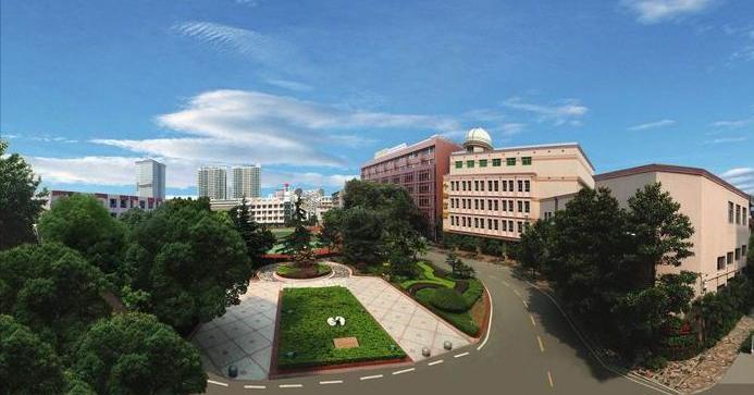 小学入学择校问题,幼升小小学择校标准是什么