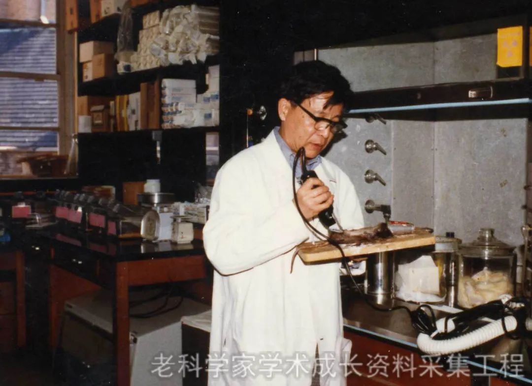 陈洪铎院士坐诊哪个医院,陈洪铎院士精神品质