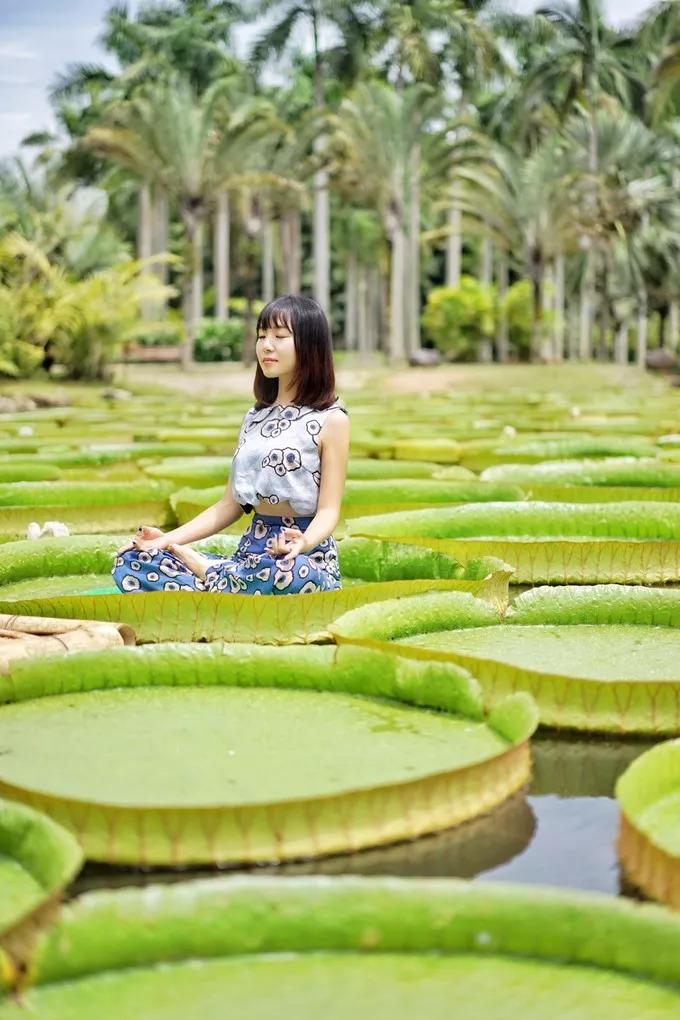 来西双版纳必去的10个地方,来西双版纳必玩的地方