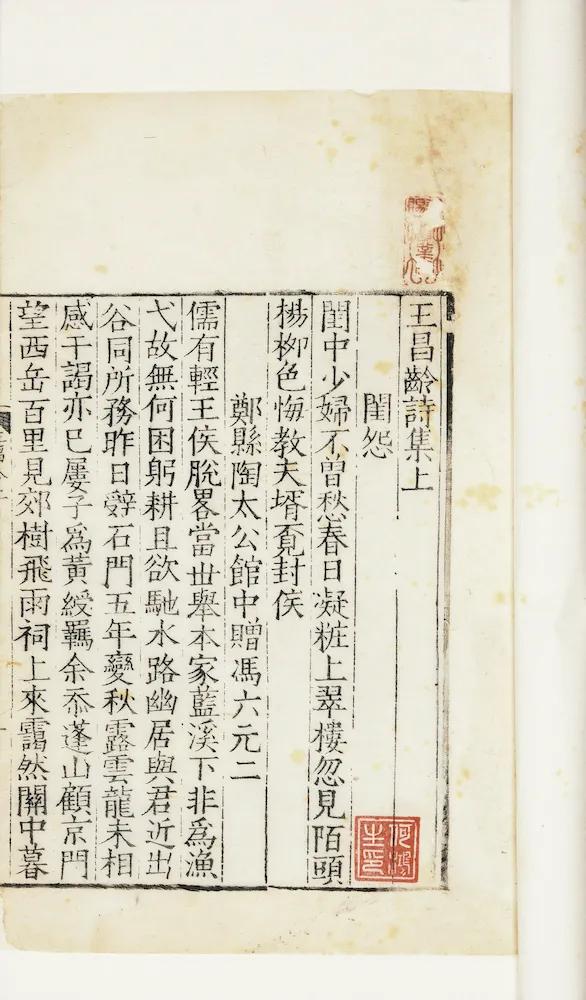 一念莲花开是什么意思,一念莲花开图片