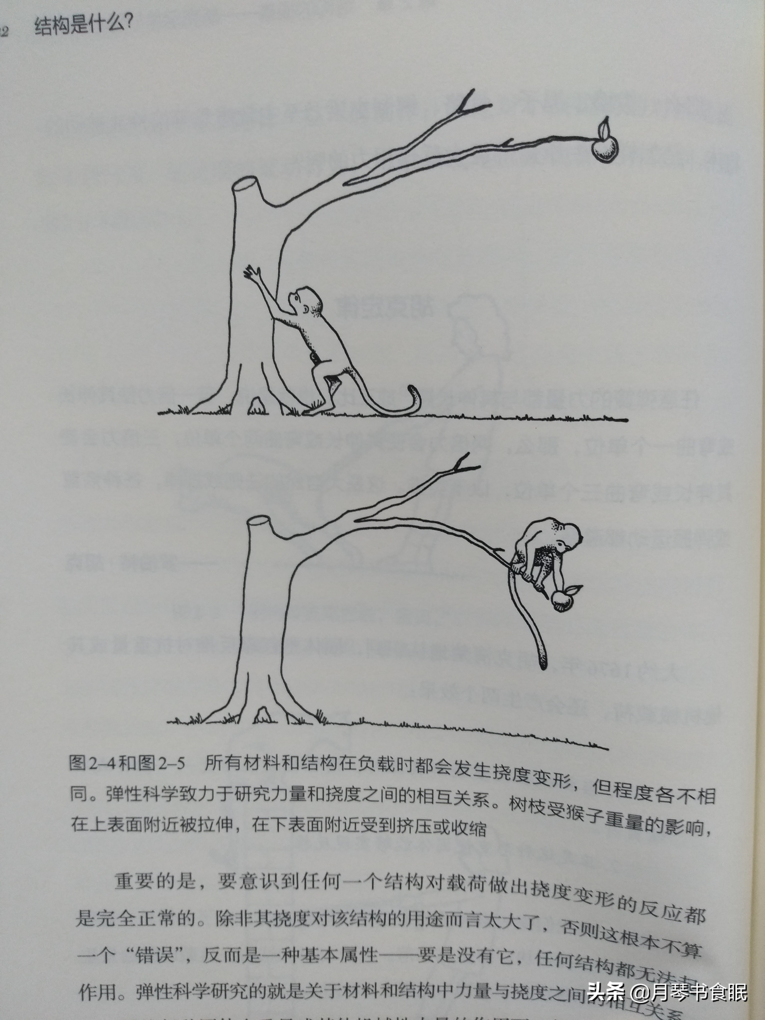 非专业也能读得懂，《结构是什么？》