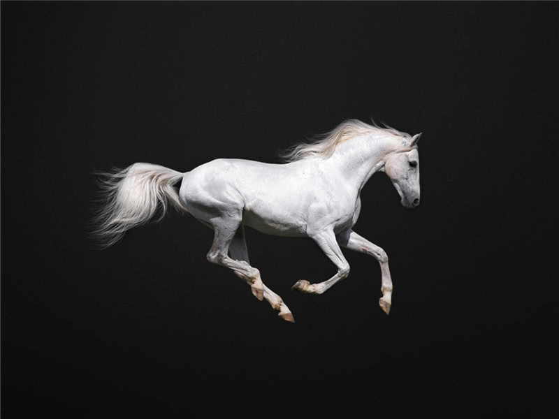 4个马的车标是什么车,有4个马的车标志是什么车