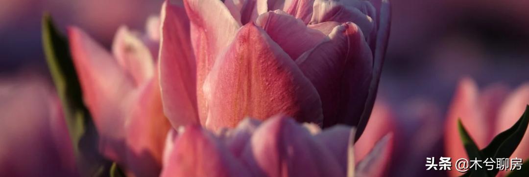 西安国际港务区交房即交证,西安高新区交房即拿证