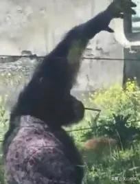 乌鲁木齐90后的南门回忆,乌鲁木齐人民公园记忆