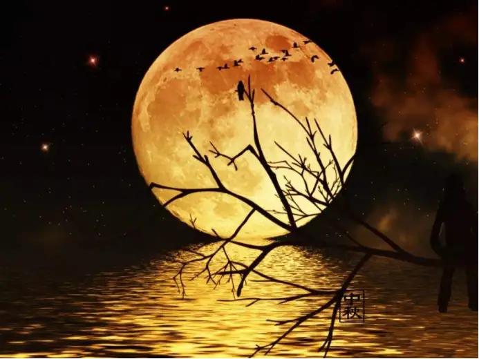 月球的起源,月球的起源未来人