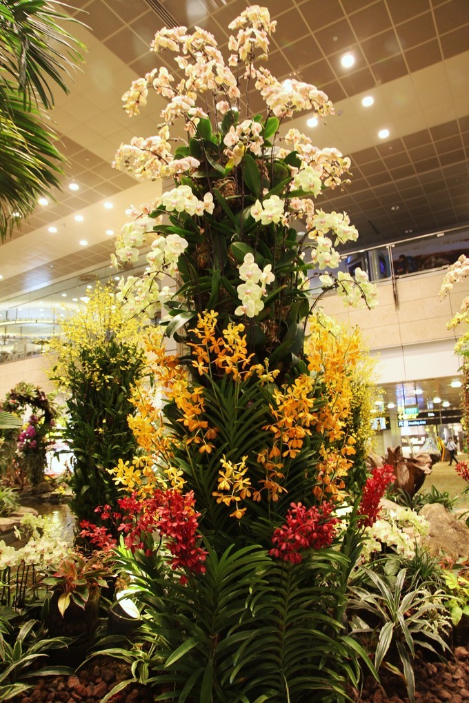 「怀念系列」新加坡|平价米其林+小众景点,3.5D我们不走寻常路3