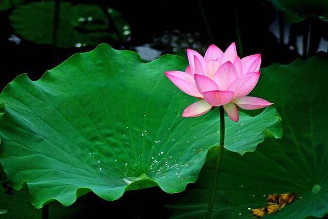 期货交易真正的难点,期货趋势交易和波段交易的取舍