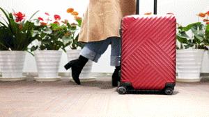 国产的旅行箱哪个好,旅行箱口碑最好的是哪一款