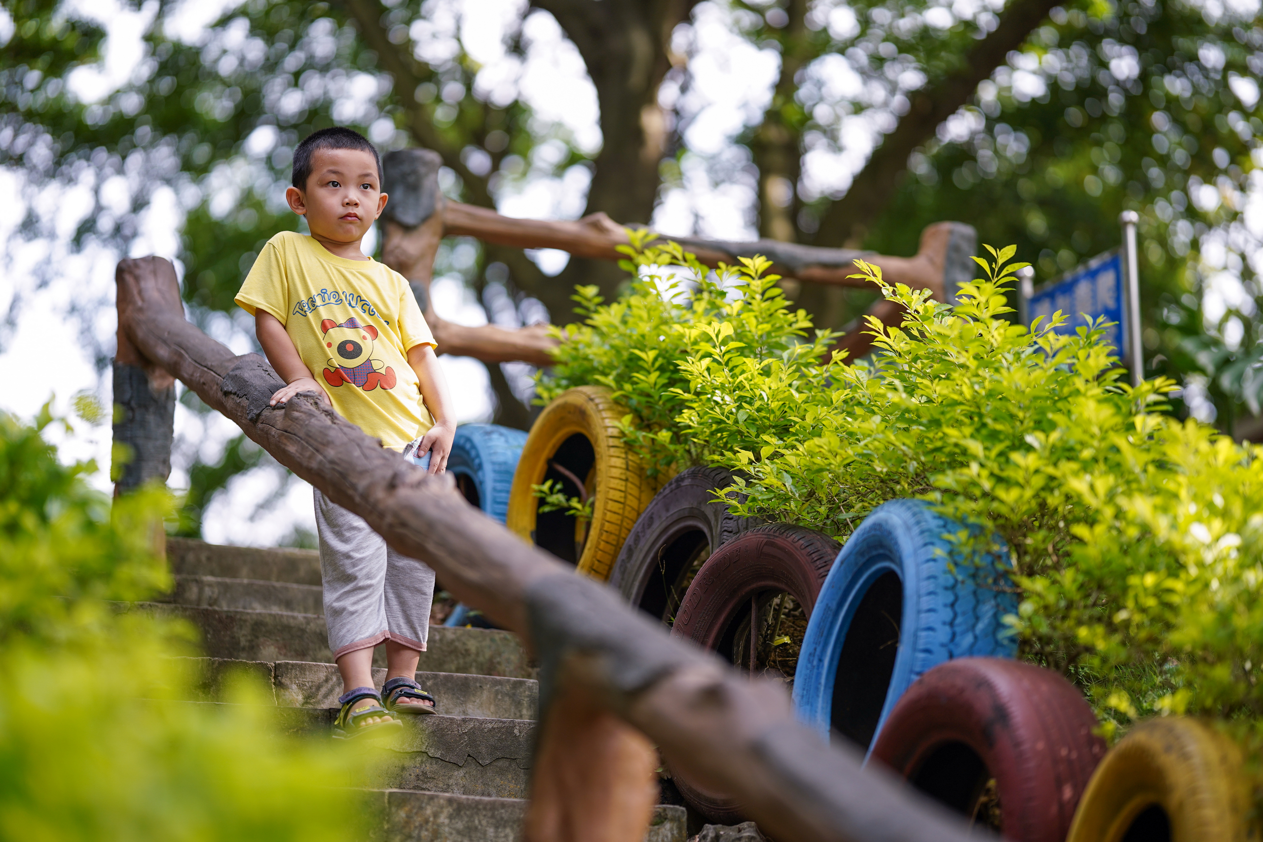 索尼微单搭配适马85mm1.4老款,适马85mmf1.4索尼卡口测评