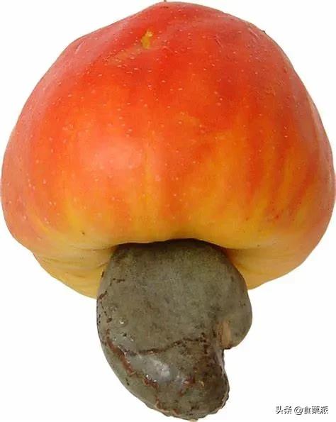 血糖偏高的人可以吃腰果吗,糖尿病可以吃含糖腰果吗