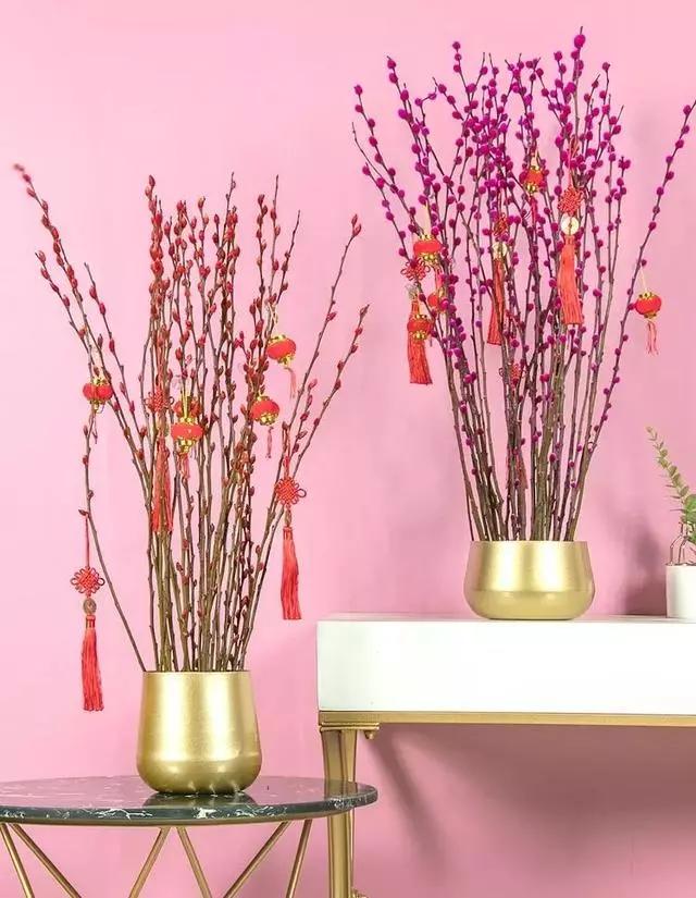 过年家里摆什么植物好,家里过年要摆几样水果