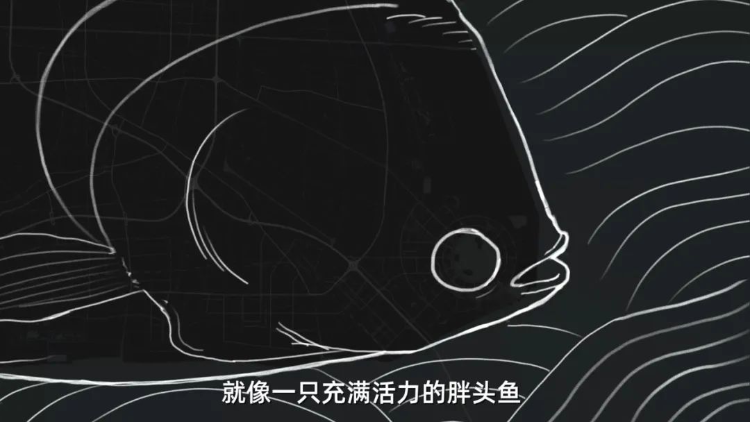 上海五大新城房价跌幅榜,上海五大新城哪个房价升值最快