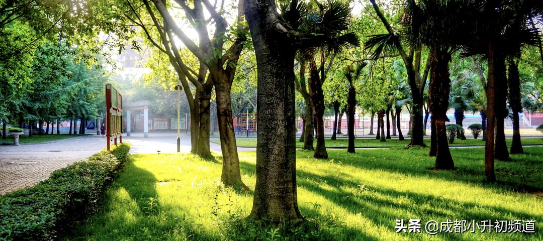 温江嘉祥招生小学升初中,2021年郫都区嘉祥小升初入学条件