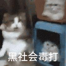 sugarbaby是甜心宝贝吗,sugarbaby是什么梗