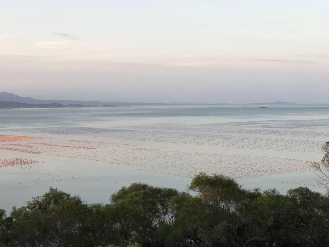 南澳岛小众隐藏景点,南澳岛2天1夜自驾游地图