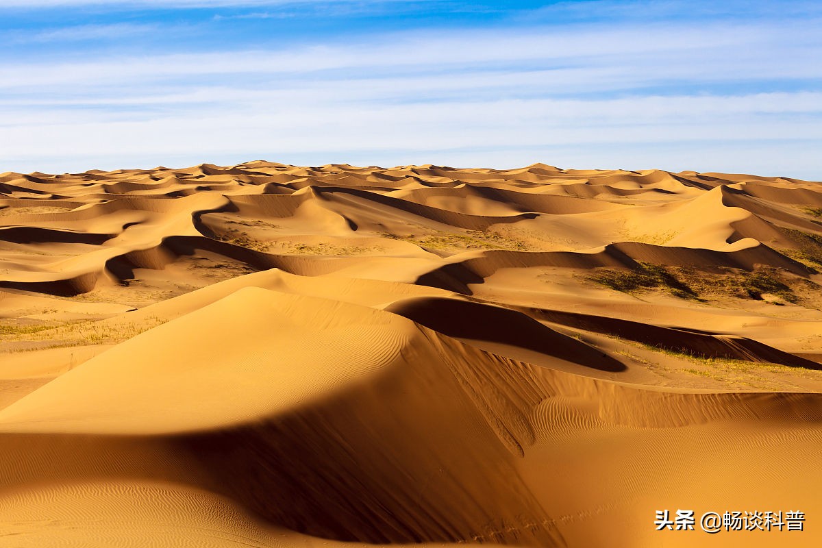 中国骆驼分布在哪里,骆驼中国哪里有