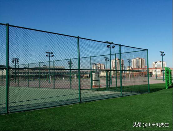体育场围栏,包塑防腐体育场围栏网