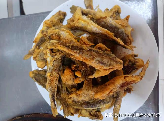 蓟县环秀湖张玉生农家院,天津蓟县马伸桥翠屏湖钓鱼农家院