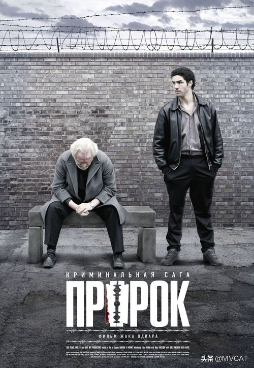 十大最好看电影黑帮片,电影推荐必看经典黑帮片