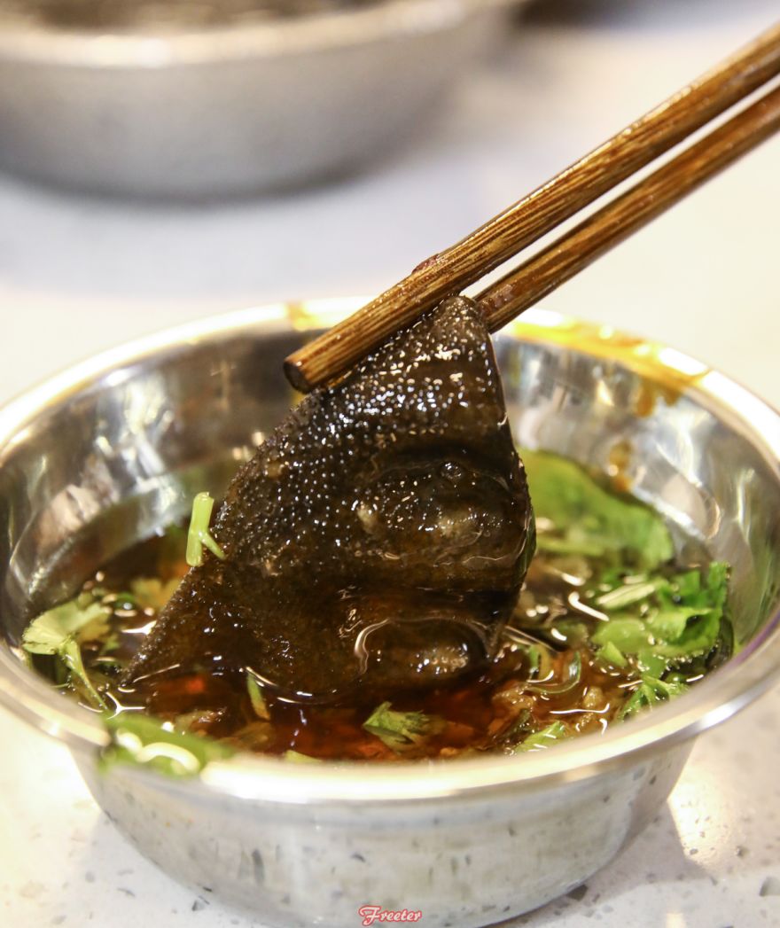 海口飞特,飞特推荐