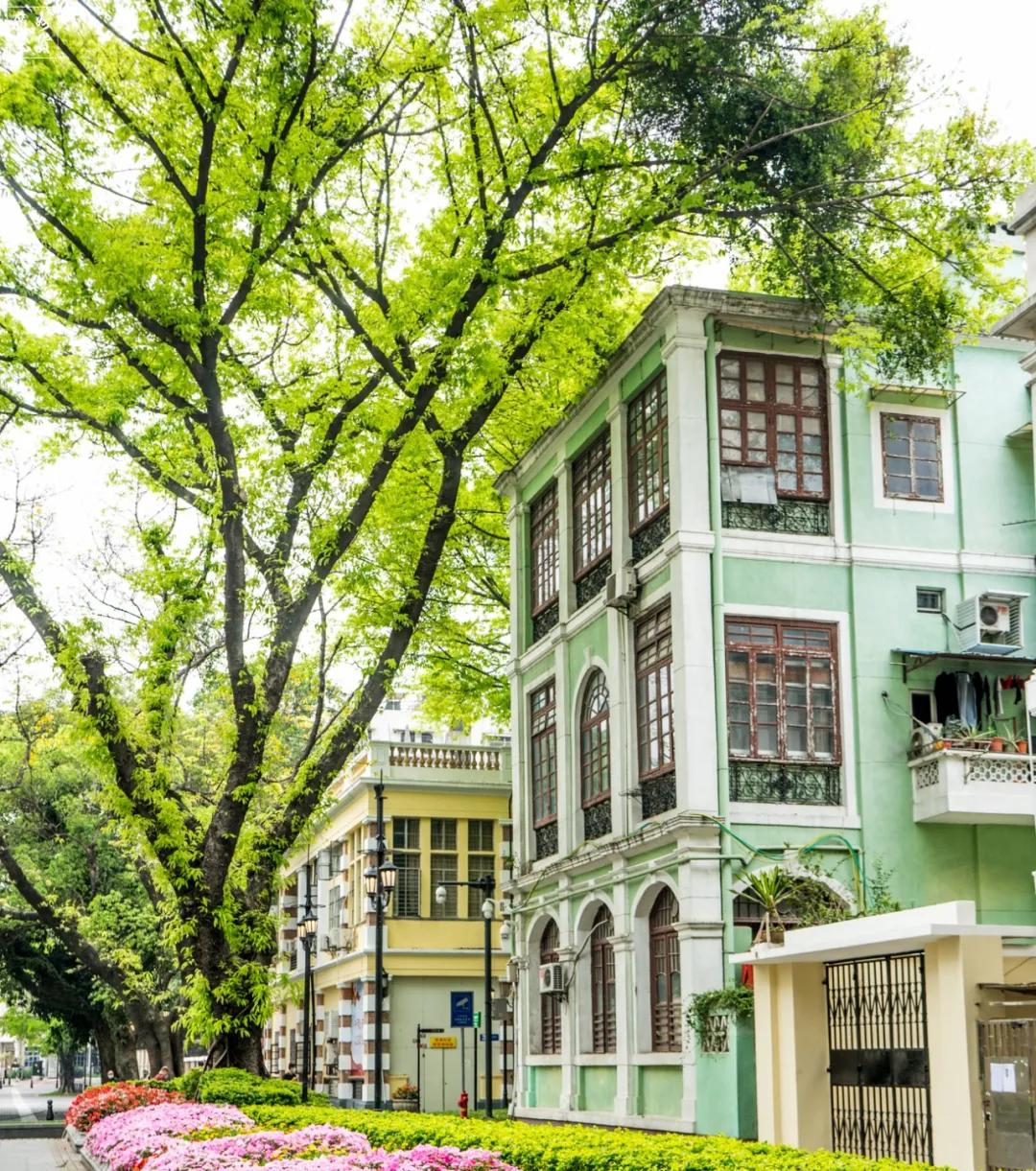 疫情第60天，被麦当劳重新带火的沙面，现在怎么样了？