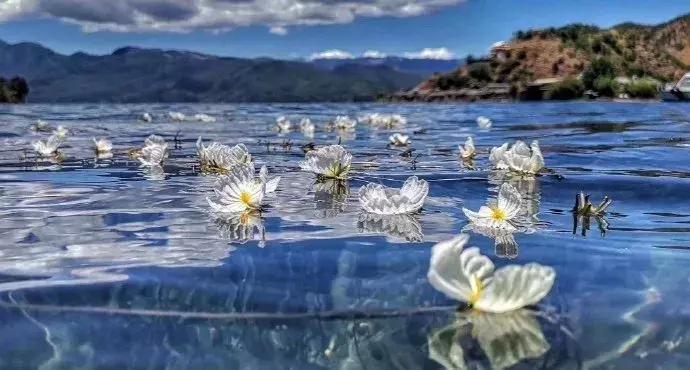 巴厘岛的坑人景点在哪里,巴厘岛十大最坑人景点图片