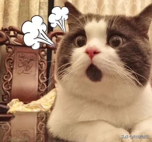 京东方为什么一直亏损,京东方为什么业绩下滑