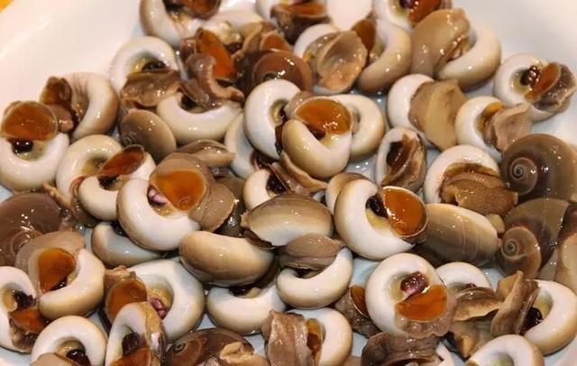 史上最全面的海鲜大咖,史上最全海鲜视频