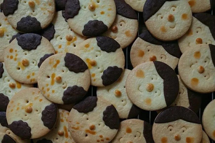 南塘夜肆的位置,南塘文创夜市开市