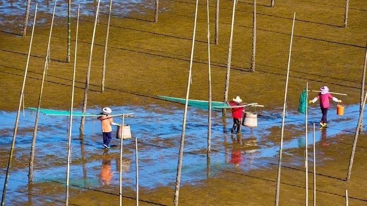 霞浦滩涂光影摄影作品,霞浦摄影风光
