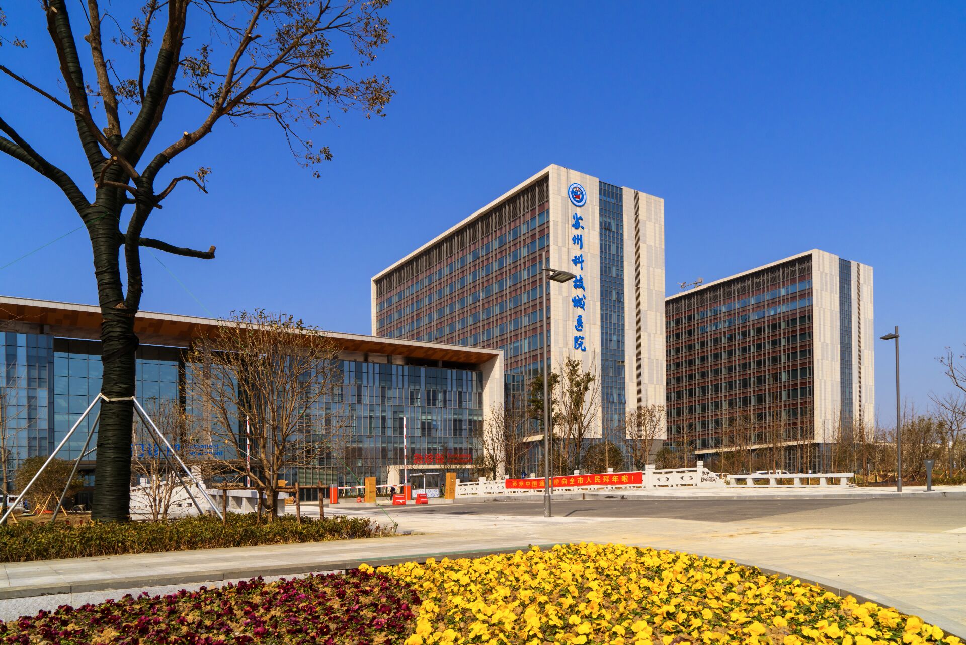 护伤天使汇聚苏州科技城医院，擦出“创面治疗与皮肤护理”新火花