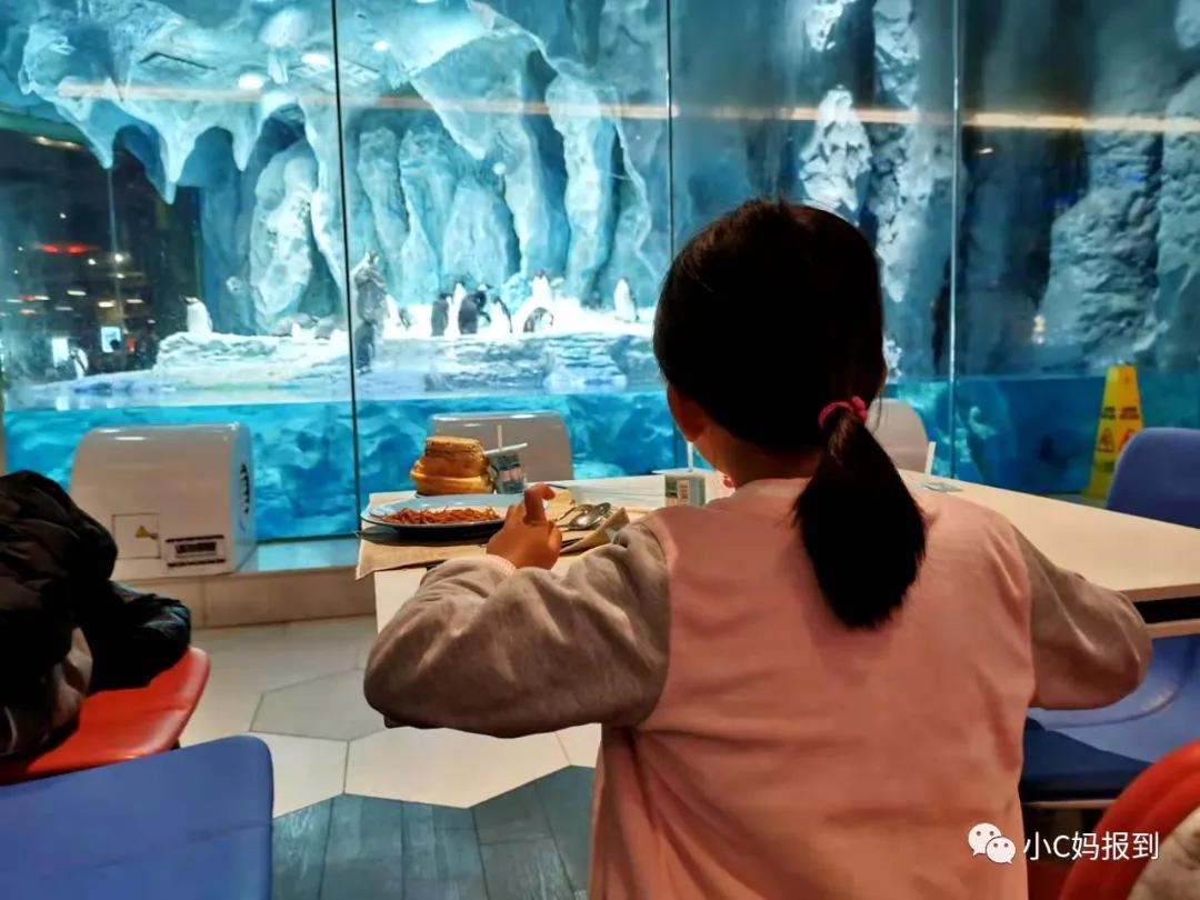 珠海长隆旅游攻略吃住一体,带孩子去珠海长隆攻略