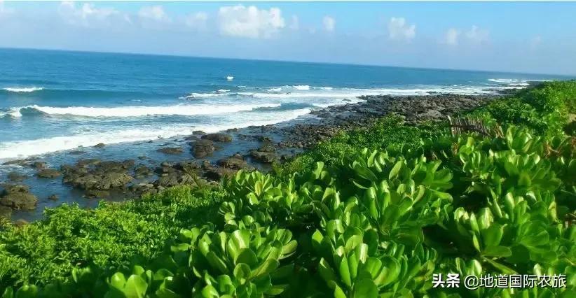 台湾乡村田园旅游案例分享,6个创意乡村旅游综合体