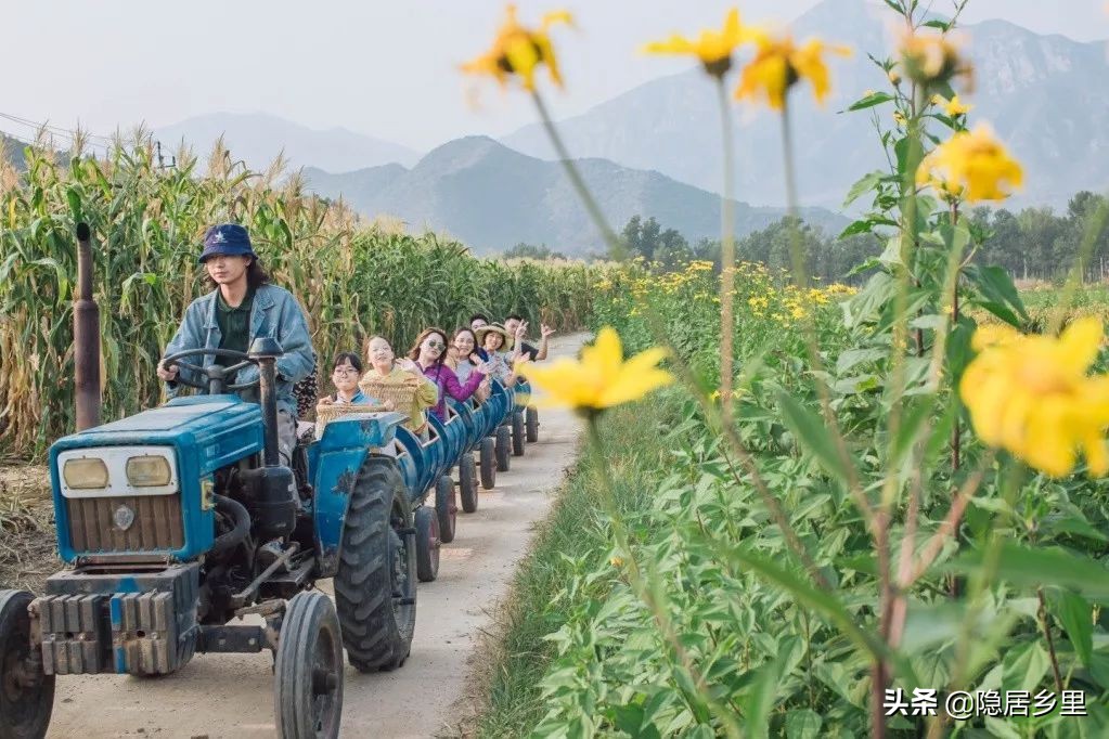 京郊集体出游民宿,京郊团建民宿小院烧烤
