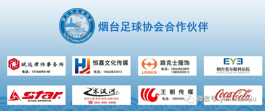 欧洲杯绿茵赛场烽烟再起,欧洲杯燃起战火